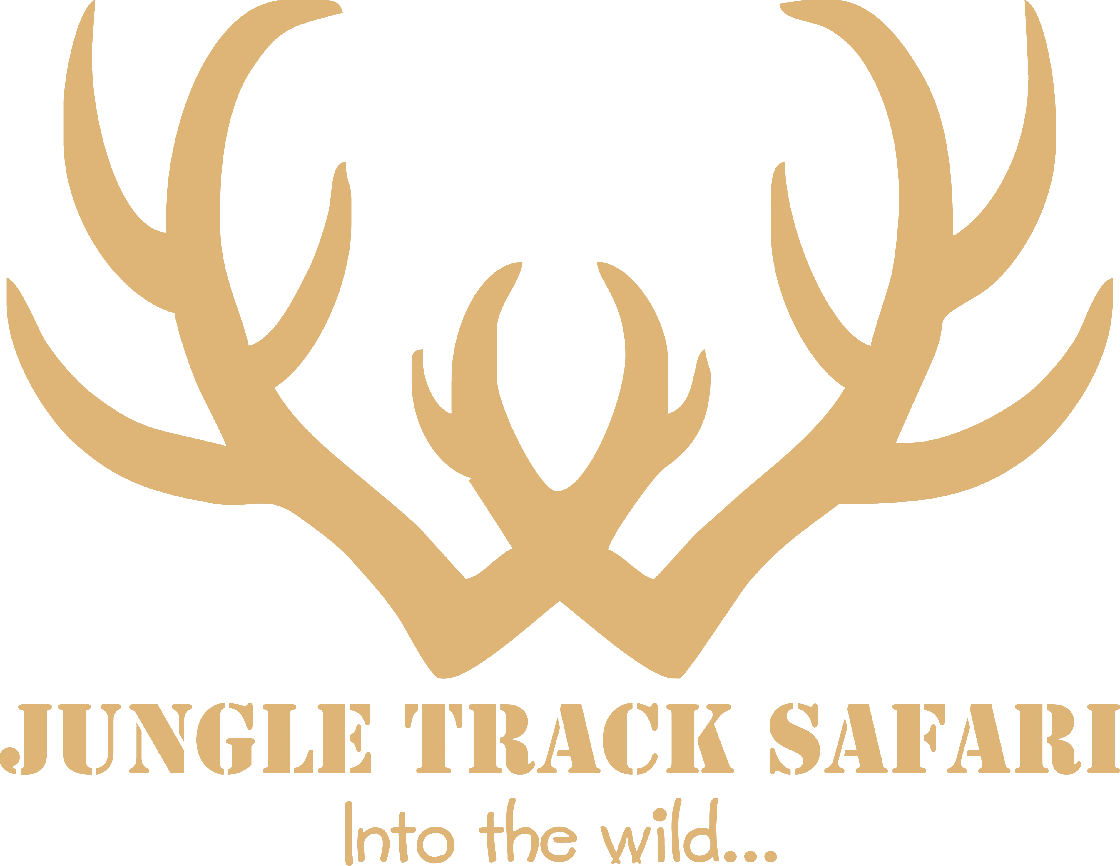 Activities - Jungle Track Safari